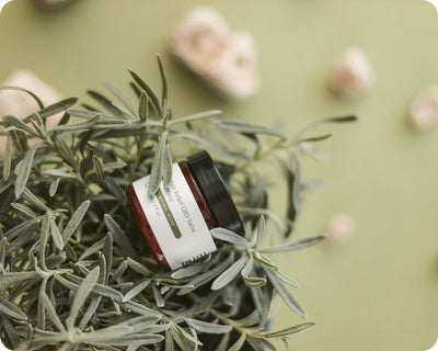 What's New In Foundations?