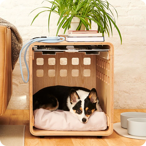 Fable Modern Dog Crate