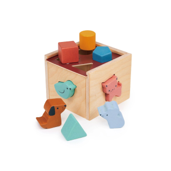 Bambino Shape Sorting Cube